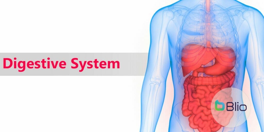 Gangguan Sistem Pencernaan