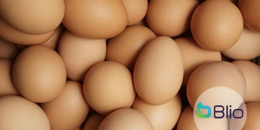 Telur Adalah Salah Satu Sumber Protein Yang Lengkap