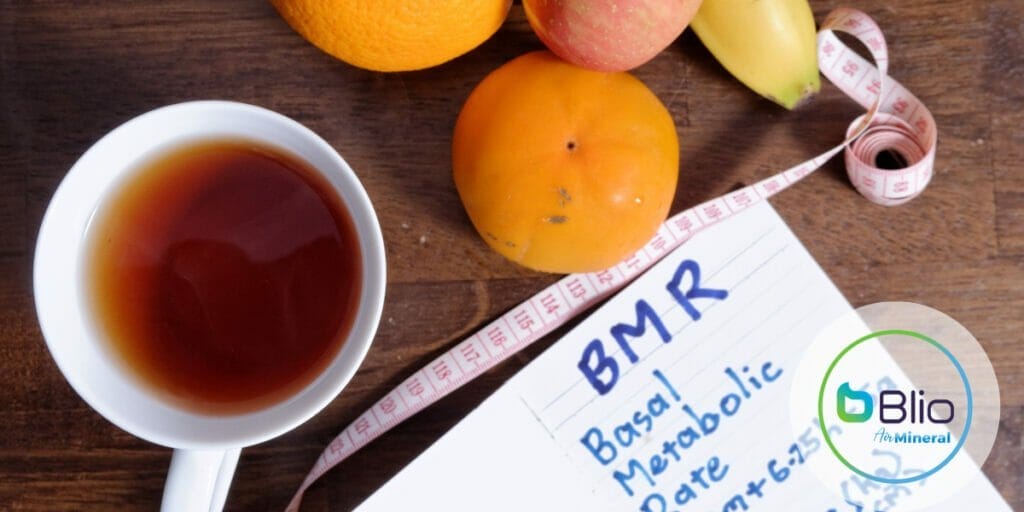Mengapa Sarapan Rendah Kalori Penting Dalam Program Diet Anda | Panduan &Amp; Manfaat Sarapan Sehat